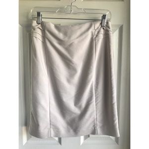 Express Pencil Skirt